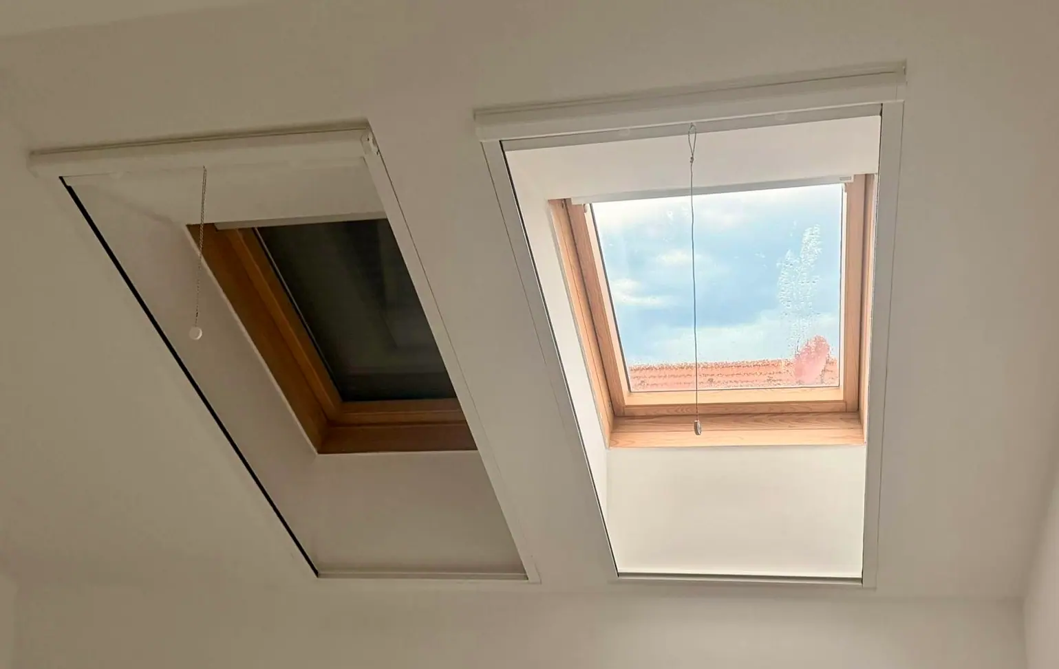 Zwei Dachfenster, eines mit Fliegengitter-Rollo