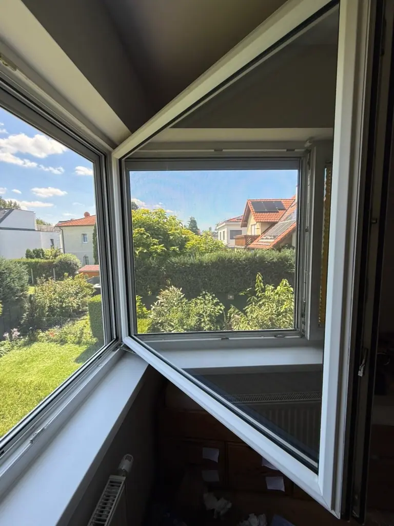 Geöffnetes Fenster mit Sonnenschutzfolie, Blick in einen Garten